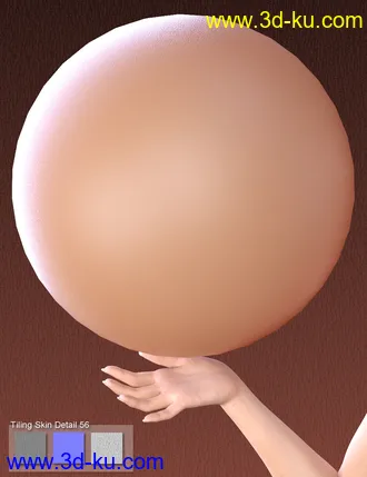 3D打印模型Skin Detail Resource 3的图片
