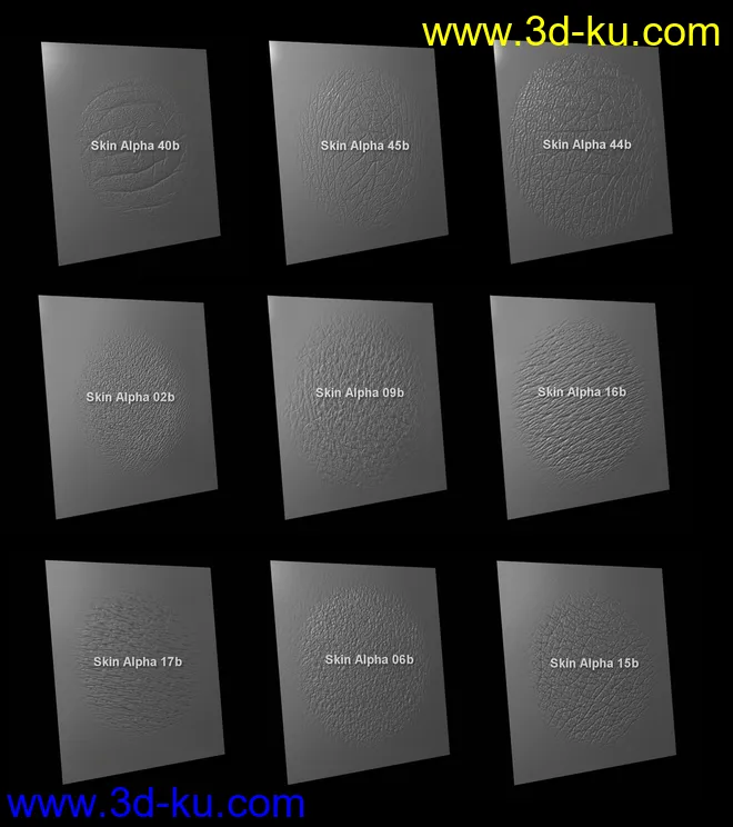 Skin Detail Resource 3模型的图片10