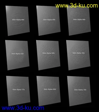 3D打印模型Skin Detail Resource 3的图片