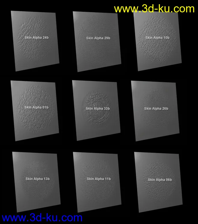 Skin Detail Resource 3模型的图片11
