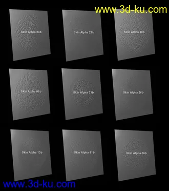 3D打印模型Skin Detail Resource 3的图片
