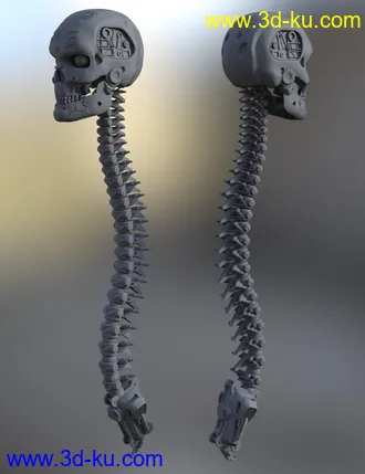 3D打印模型Skull n Spine Mech的图片