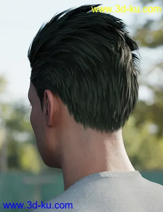 3D打印模型Slicked-Back Hair for Genesis 8 Males的图片