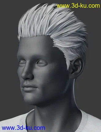 3D打印模型Slicked-Back Hair for Genesis 8 Males的图片