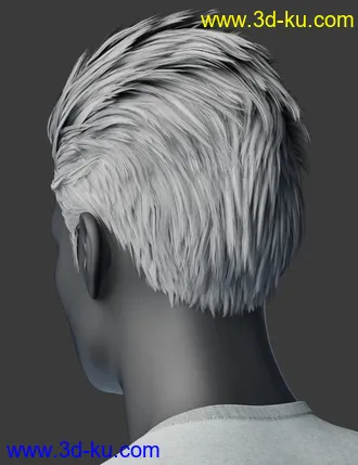 3D打印模型Slicked-Back Hair for Genesis 8 Males的图片