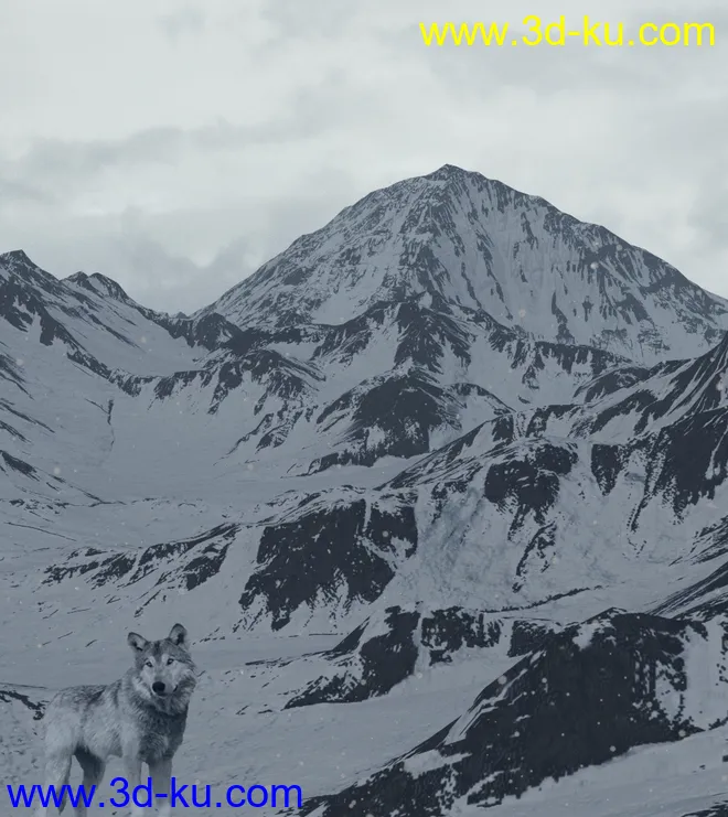 Snowy Mountains模型的图片8