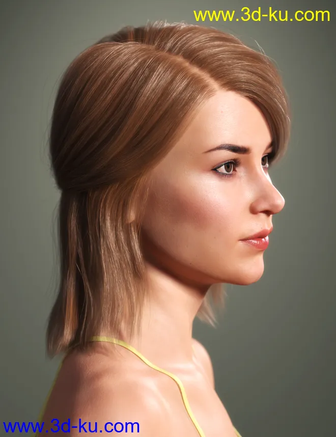 SP Hair 016 for Genesis 3 and 8 Females模型的图片4