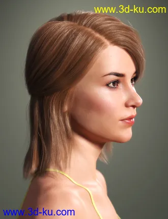3D打印模型SP Hair 016 for Genesis 3 and 8 Females的图片