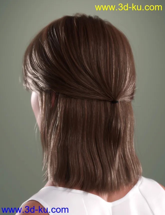 SP Hair 016 for Genesis 3 and 8 Females模型的图片6