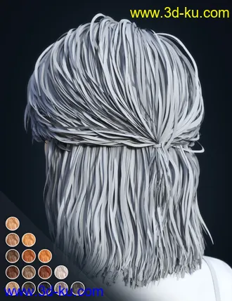 3D打印模型SP Hair 016 for Genesis 3 and 8 Females的图片