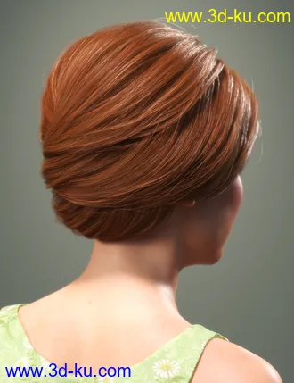 3D打印模型SP Hair 017 for Genesis 3 and 8 Females的图片