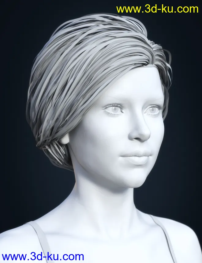 SP Hair 017 for Genesis 3 and 8 Females模型的图片7
