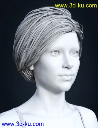 3D打印模型SP Hair 017 for Genesis 3 and 8 Females的图片