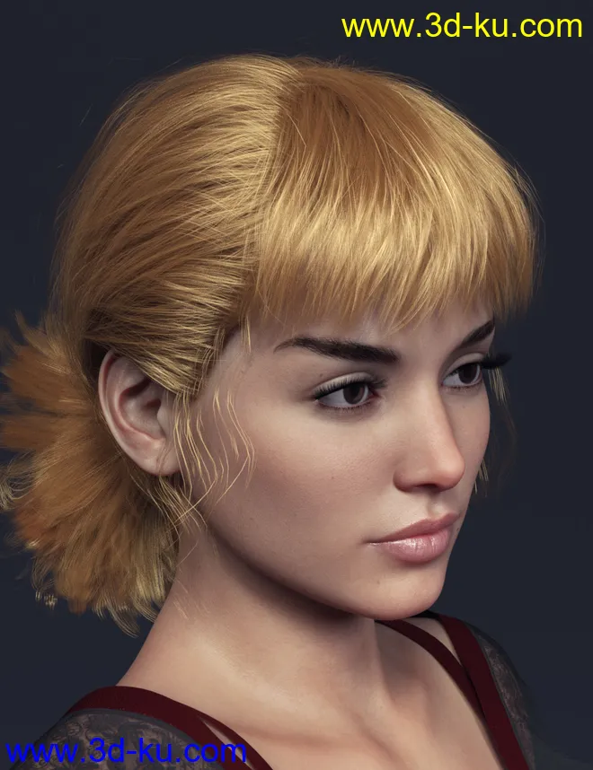 Sun Hair for Genesis 8 Females模型的图片2