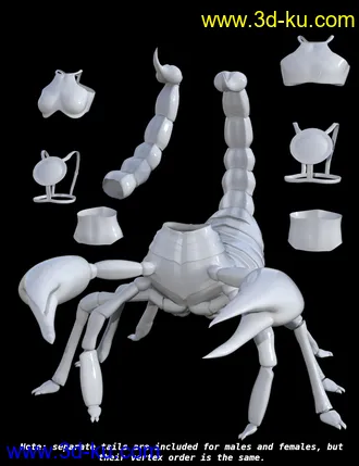 3D打印模型SY Scorpion Folk Genesis 8 and 8.1的图片