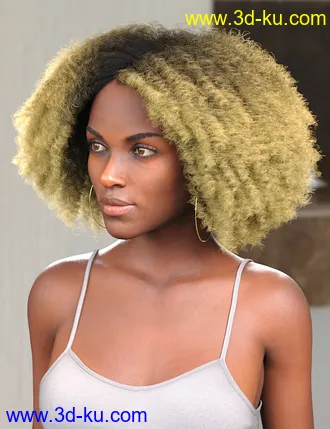 3D打印模型Tallia Hair for Genesis 8 and 8.1 Females的图片