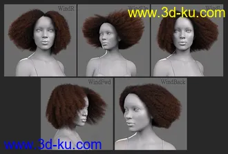 3D打印模型Tallia Hair for Genesis 8 and 8.1 Females的图片