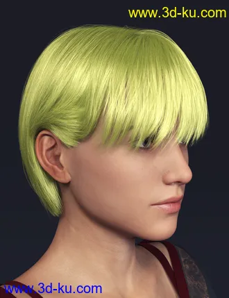 3D打印模型TG Hair for Genesis 8 Females的图片