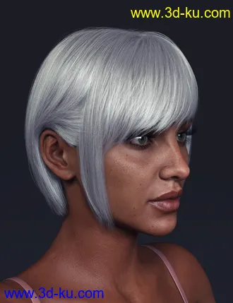 3D打印模型TG Hair for Genesis 8 Females的图片