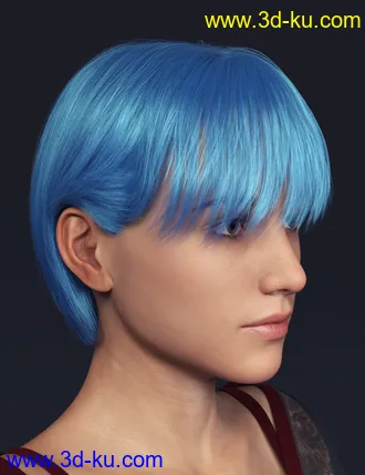 3D打印模型TG Hair for Genesis 8 Females的图片