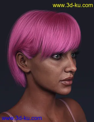 3D打印模型TG Hair for Genesis 8 Females的图片