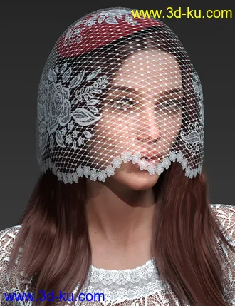 3D打印模型Timeless Treasures Headwear for Genesis 8 Females的图片