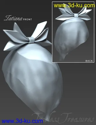 3D打印模型Timeless Treasures Headwear for Genesis 8 Females的图片