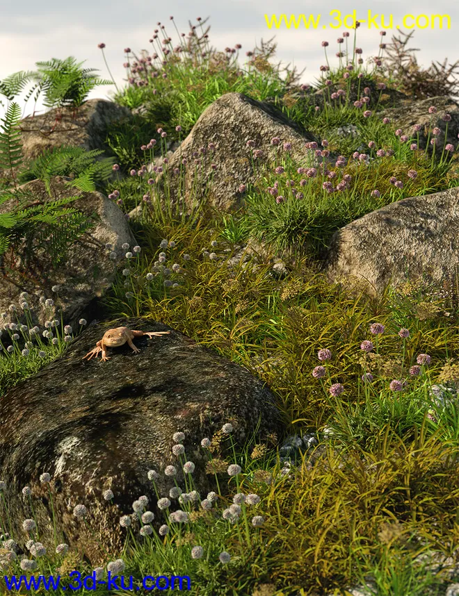 Tiny Plants - Flowering Sea Thrift模型的图片3