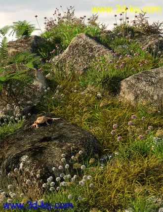 3D打印模型Tiny Plants - Flowering Sea Thrift的图片
