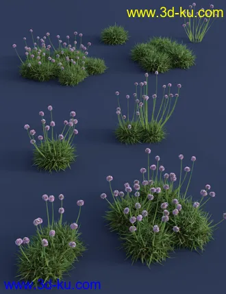 3D打印模型Tiny Plants - Flowering Sea Thrift的图片