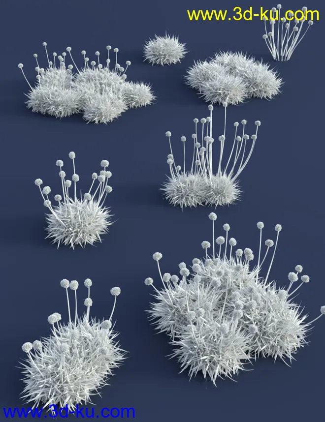 Tiny Plants - Flowering Sea Thrift模型的图片6