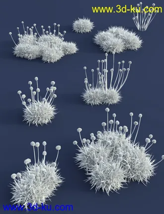 3D打印模型Tiny Plants - Flowering Sea Thrift的图片