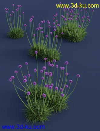 3D打印模型Tiny Plants - Flowering Sea Thrift的图片