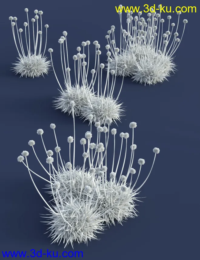 Tiny Plants - Flowering Sea Thrift模型的图片8
