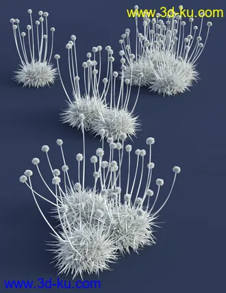 3D打印模型Tiny Plants - Flowering Sea Thrift的图片