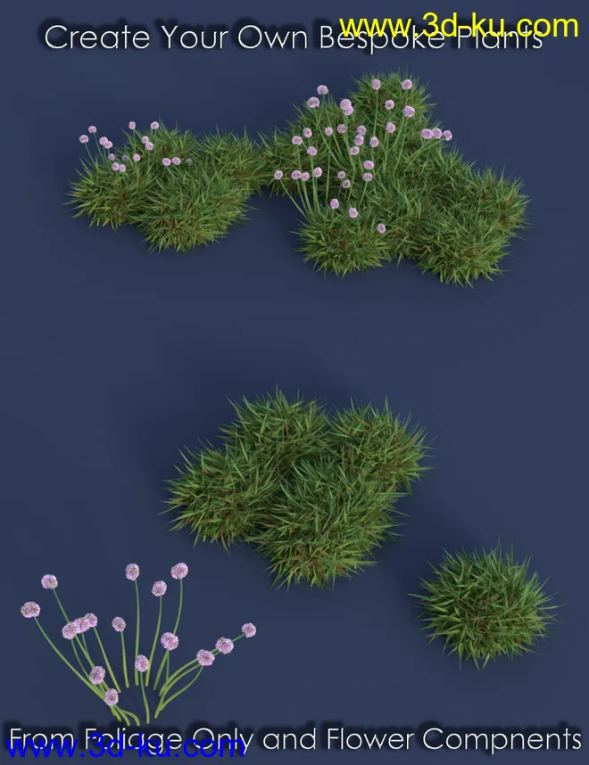 Tiny Plants - Flowering Sea Thrift模型的图片9