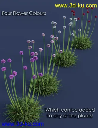 3D打印模型Tiny Plants - Flowering Sea Thrift的图片