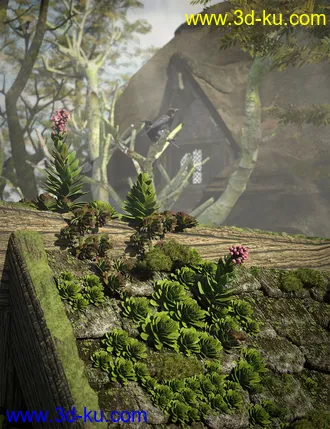 3D打印模型Tiny Plants - House Leeks的图片