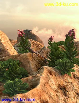 3D打印模型Tiny Plants - House Leeks的图片