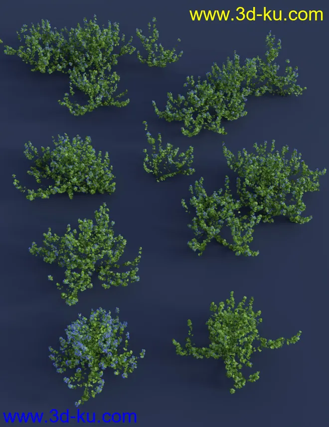Tiny Plants III - Tiny Flowers模型的图片5
