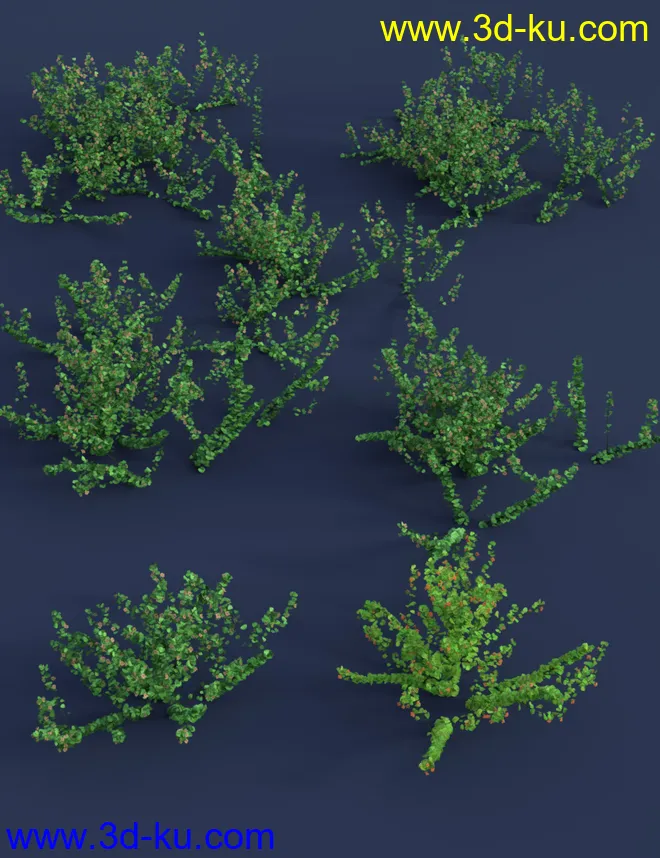 Tiny Plants III - Tiny Flowers模型的图片7