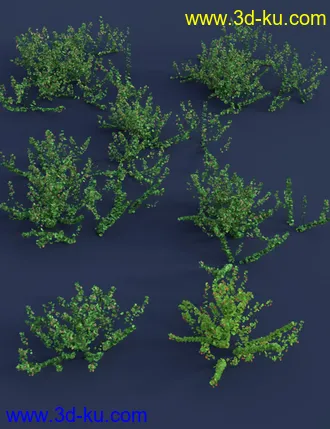 3D打印模型Tiny Plants III - Tiny Flowers的图片