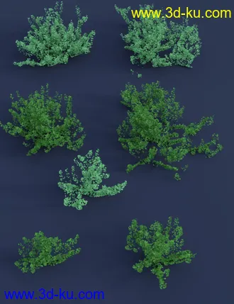 3D打印模型Tiny Plants III - Tiny Flowers的图片
