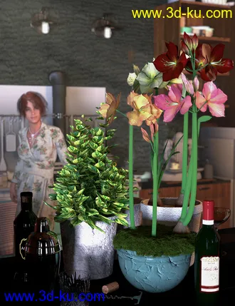 3D打印模型Tropical Flowers - Amaryllis的图片
