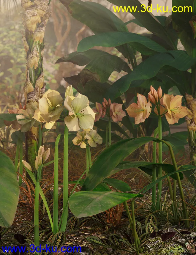 Tropical Flowers - Amaryllis模型的图片3