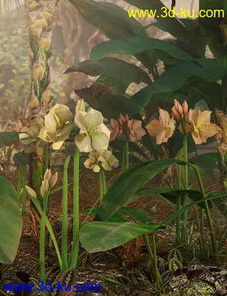 3D打印模型Tropical Flowers - Amaryllis的图片