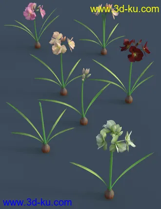 3D打印模型Tropical Flowers - Amaryllis的图片