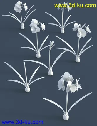 3D打印模型Tropical Flowers - Amaryllis的图片