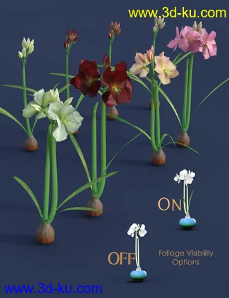 3D打印模型Tropical Flowers - Amaryllis的图片