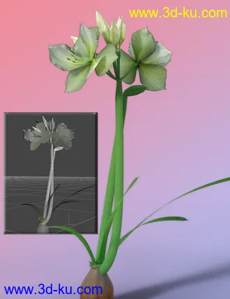 3D打印模型Tropical Flowers - Amaryllis的图片